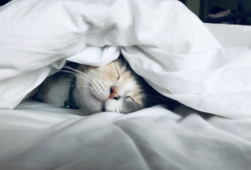 Managing Graduate School Burnout